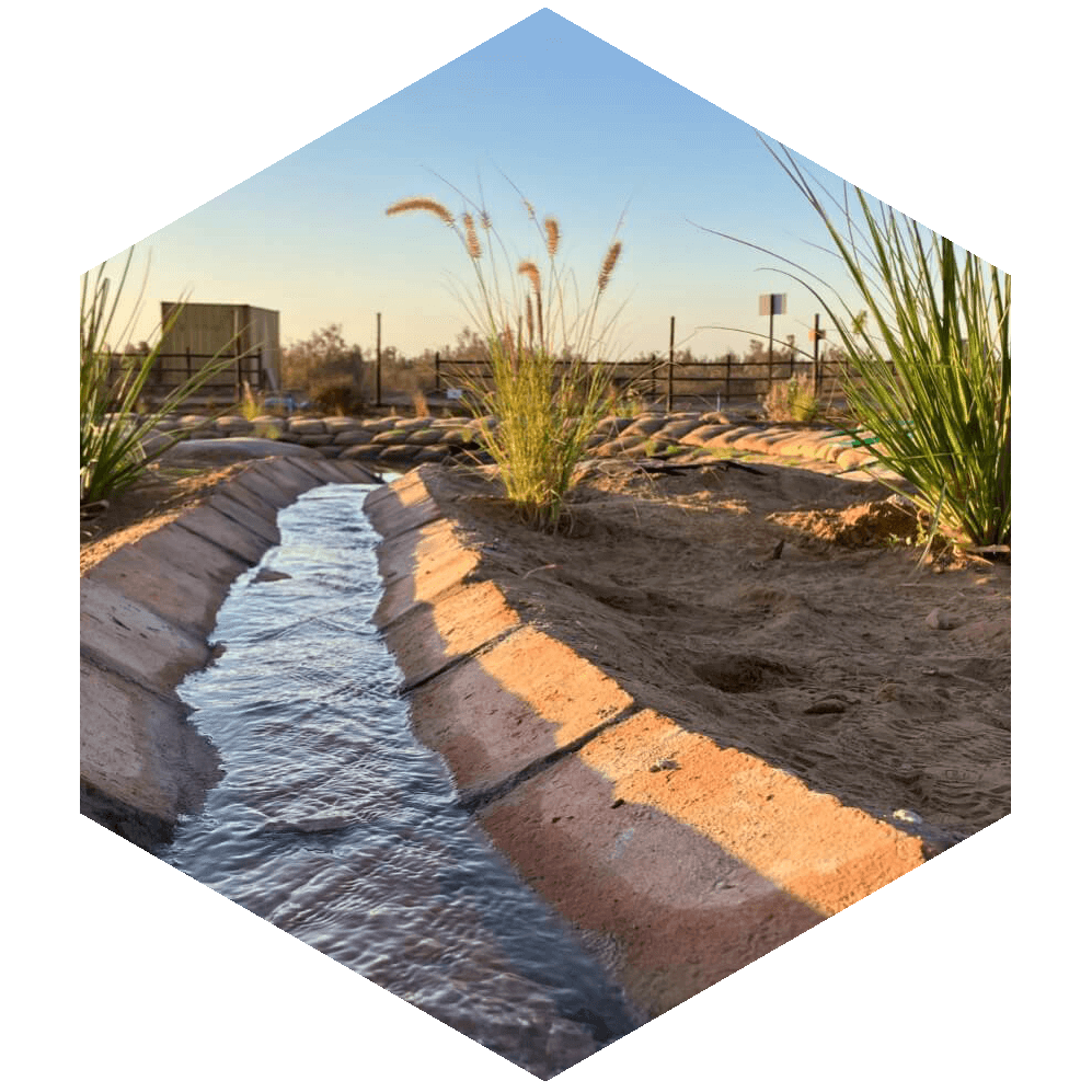 hex_proyecto